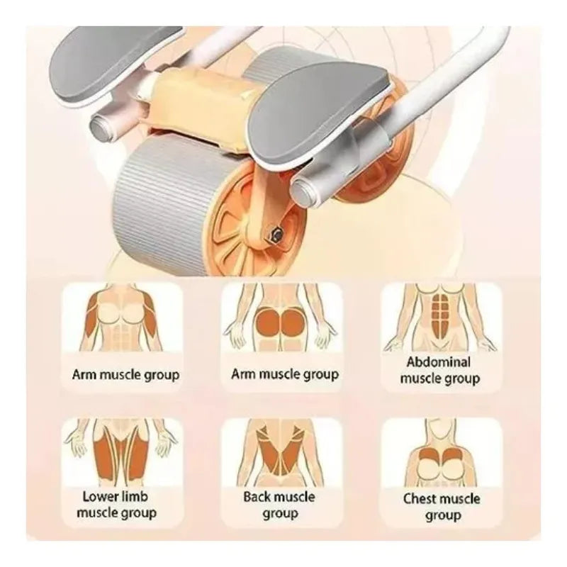 Rueda Abdominal